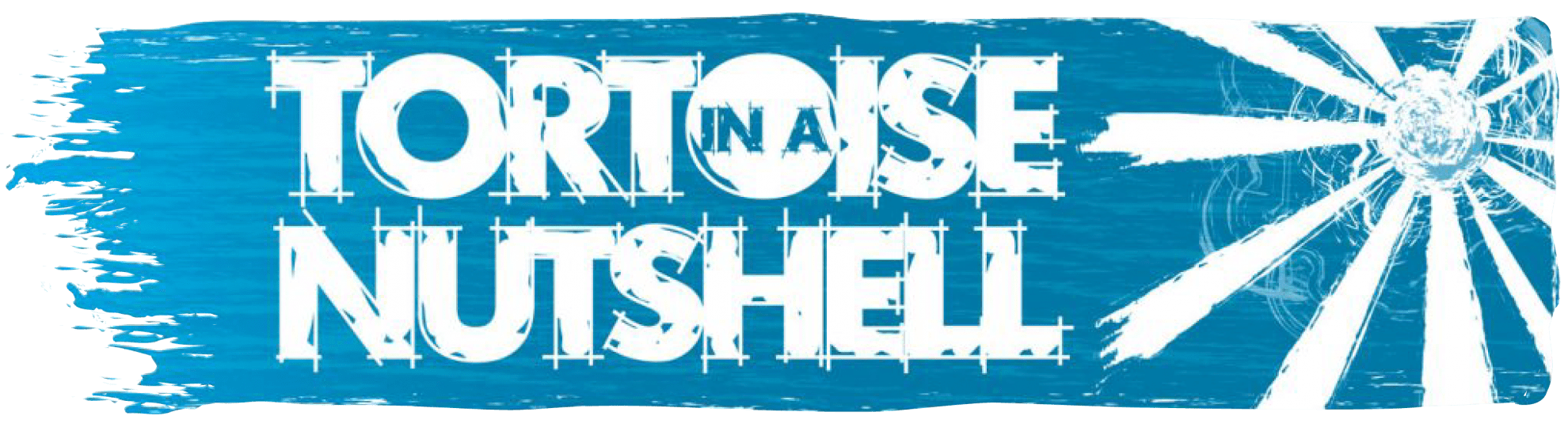Tortoise in a Nutshell